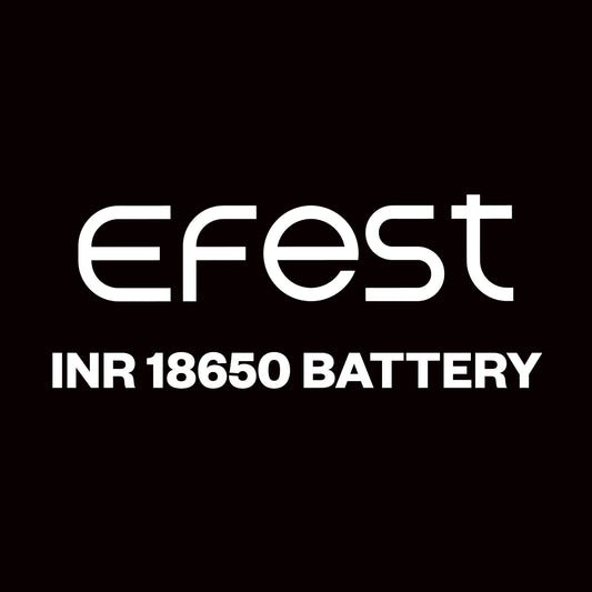 EFEST INR 18650 (3,000mAh)